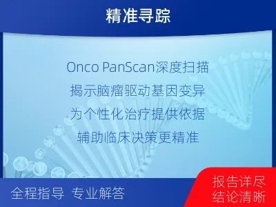 彝良-全外显子基因检测-脑肿瘤-检测流程