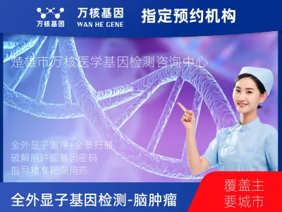 楚雄彝族自治州楚雄市全外显子基因检测（含Onco PanScan）-脑肿瘤