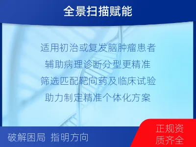 麦积-全外显子基因检测-脑肿瘤-报告解读