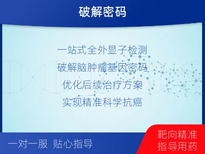 甘谷-全外显子基因检测-脑肿瘤-适用人群