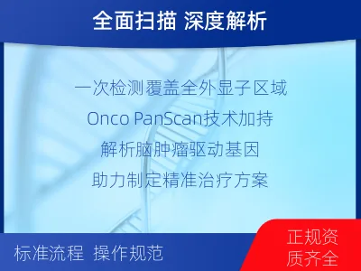 合水-全外显子基因检测-脑肿瘤-报告解读