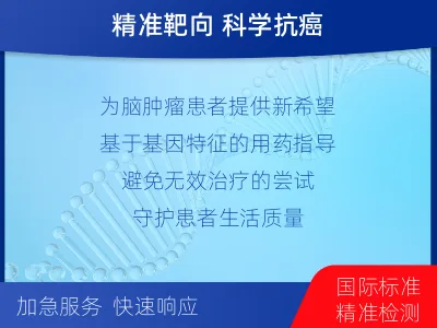 合水-全外显子基因检测-脑肿瘤-检测介绍