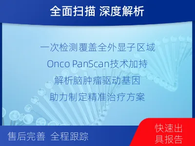 陇南-全外显子基因检测-脑肿瘤-检测流程