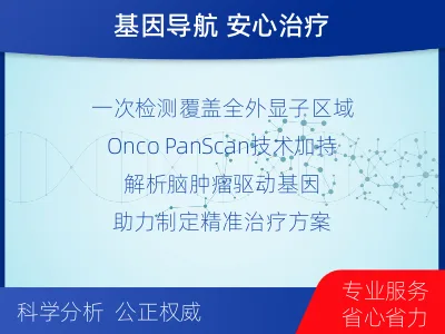 陇南-全外显子基因检测-脑肿瘤-适用人群