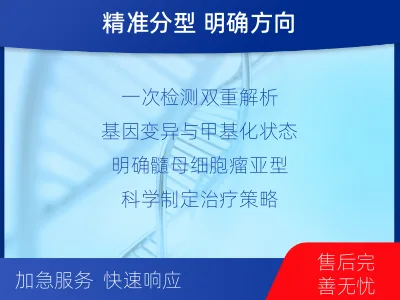 黎城-髓母细胞瘤基因及甲基化分型-报告解读