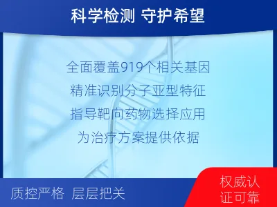 黎城-髓母细胞瘤基因及甲基化分型-检测流程