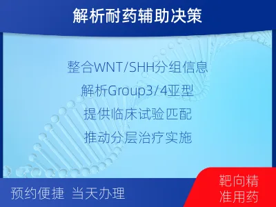 沁-髓母细胞瘤基因及甲基化分型-检测流程
