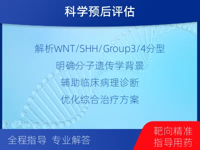 柳城-髓母细胞瘤基因及甲基化分型-检测流程