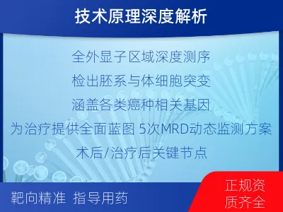 宁河-全外显子基因检测次MRD-检测流程