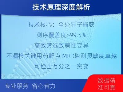 乐亭-全外显子基因检测次MRD-报告解读