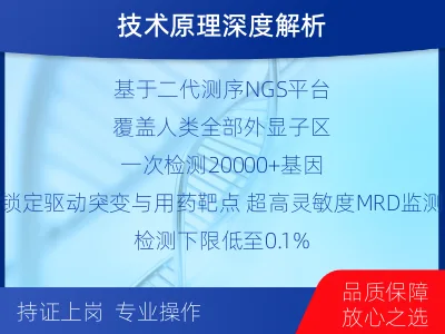 怀安-全外显子基因检测次MRD-检测介绍