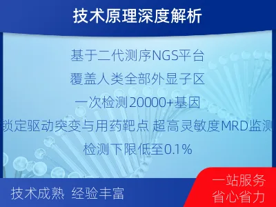 和平-全外显子基因检测次MRD-报告解读