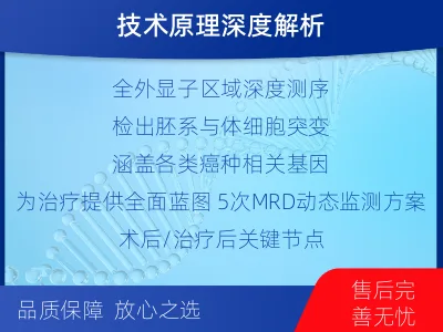 肇州-全外显子基因检测次MRD-检测流程