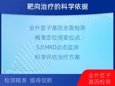 颍东-全外显子基因检测次MRD-检测流程