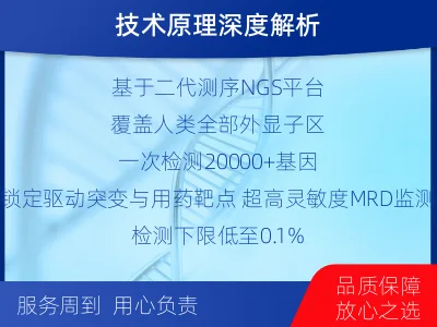 威海-全外显子基因检测次MRD-报告解读