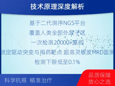 遂平-全外显子基因检测次MRD-检测流程