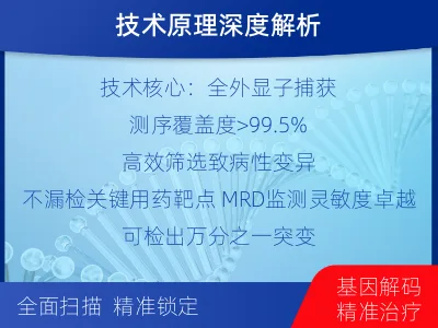 石门-全外显子基因检测次MRD-报告解读