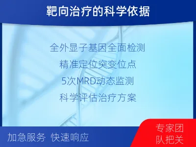 彭州-全外显子基因检测次MRD-适用人群