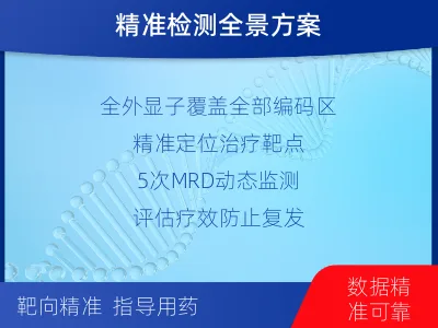 小金-全外显子基因检测次MRD-报告解读