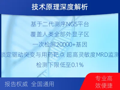 盐源-全外显子基因检测次MRD-报告解读