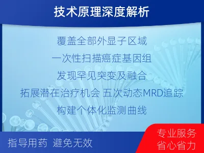 喜德-全外显子基因检测次MRD-检测流程