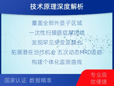 西峰-全外显子基因检测次MRD-报告解读