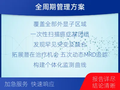 合水-全外显子基因检测次MRD-报告解读