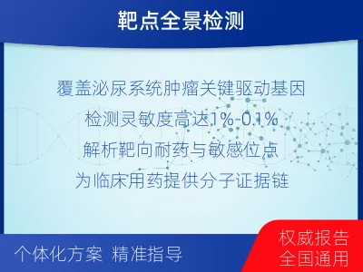 黎城-泌尿系统肿瘤靶药基因综合检测-适用人群