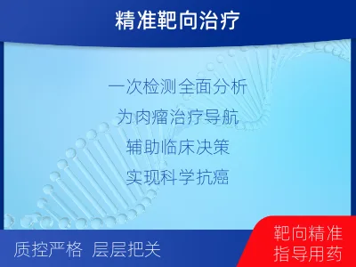 大关-肉瘤全体系基因检测-检测流程