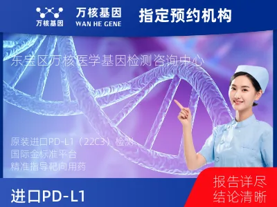 荆门市东宝区进口PD-L1（Dako22C3）