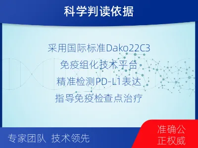 彭州-进口PD-L1-检测流程