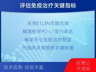 滨海-PD-L1检测-检测流程