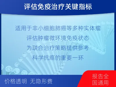 武城-PD-L1检测-检测流程