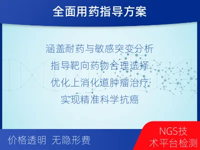镇安-消化道肿瘤靶药基因检测-检测流程