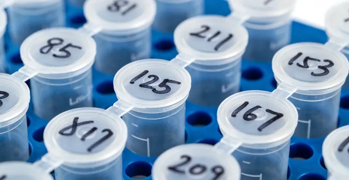 兰西亲子鉴定证件准备