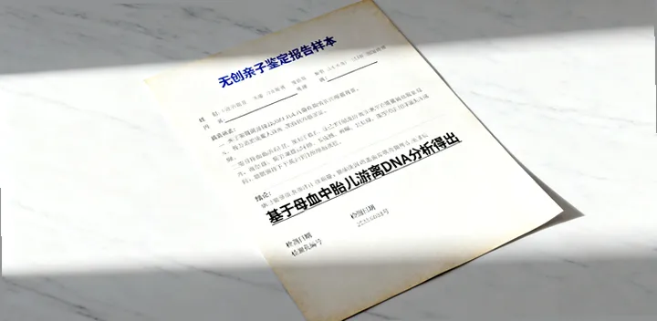 枣强DNA鉴定报告样本