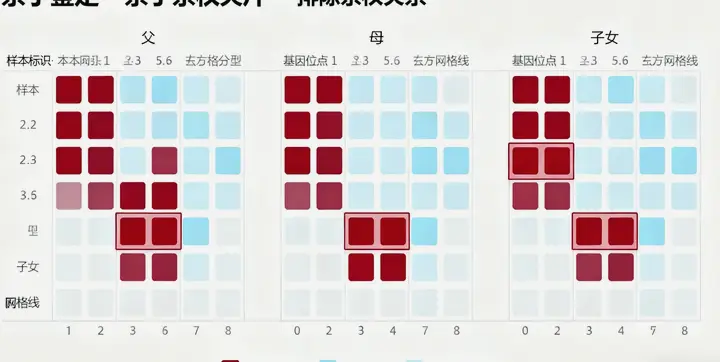 察雅亲子鉴定报告样本