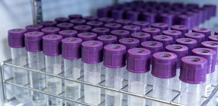 全椒亲子鉴定报告样本