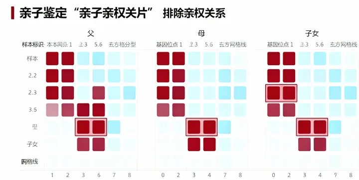 焦作马村亲子鉴定报告