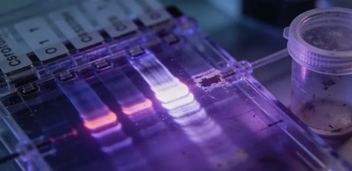 澄海无创亲子鉴定咨询流程