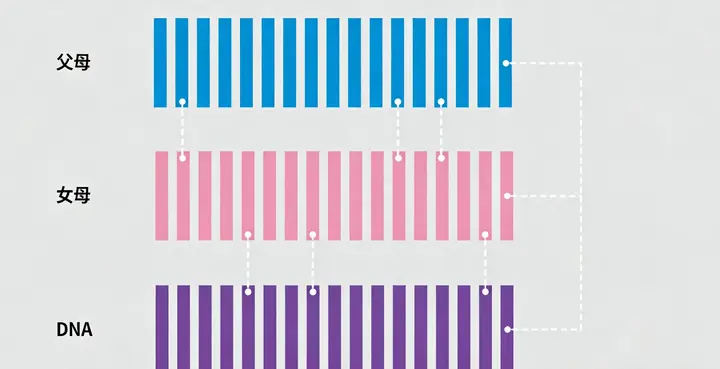 昆明亲子鉴定邮寄包装