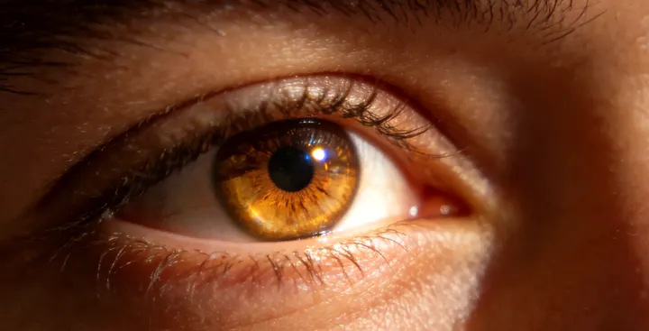 泰安亲子鉴定咨询