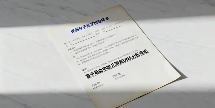 资阳亲缘鉴定报告样本