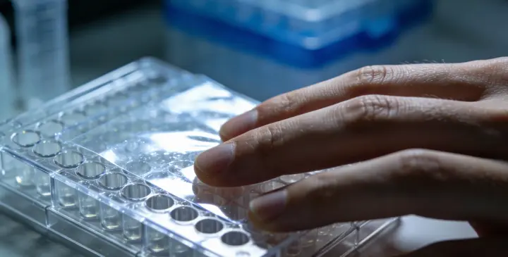 广昌亲子鉴定咨询