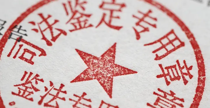 邵阳县司法鉴定报告样本