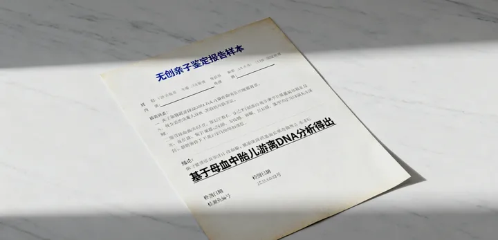 邯山区鉴定报告样本