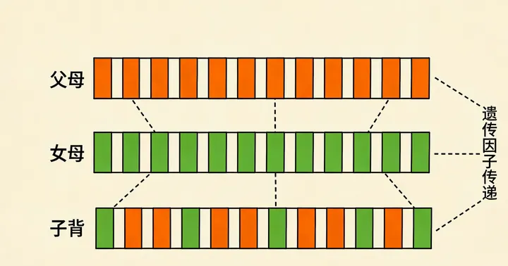 菏泽亲子鉴定采样