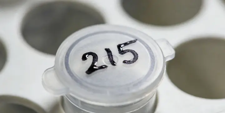 霍林郭勒亲子鉴定报告样本解读