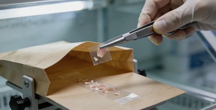 广丰亲子鉴定样本对比