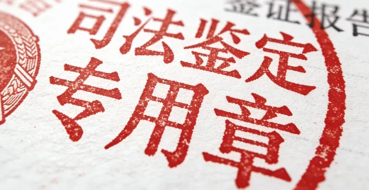 凤台鉴定报告样本